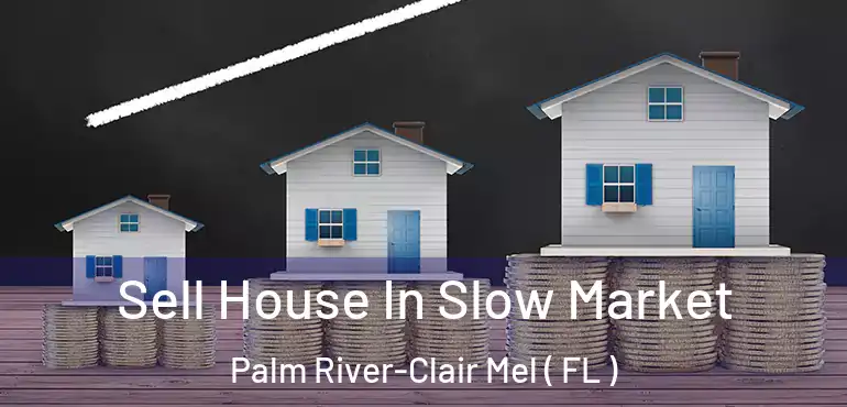  Sell House In Slow Market Palm River-Clair Mel ( FL )
