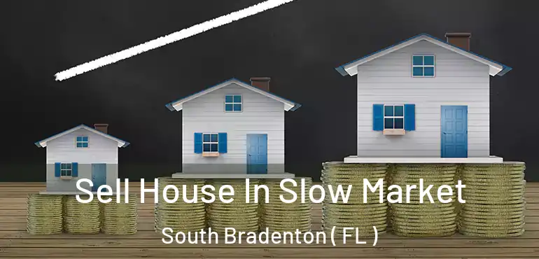  Sell House In Slow Market South Bradenton ( FL )