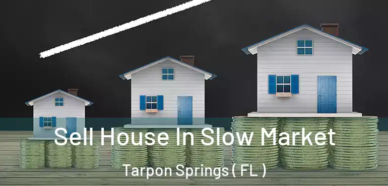 Sell House In Slow Market Tarpon Springs ( FL )