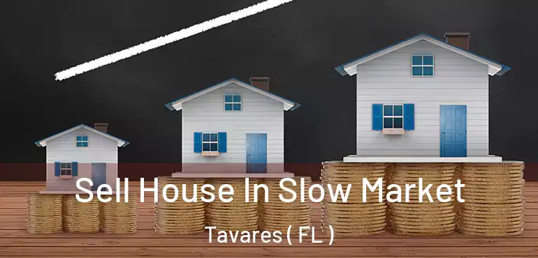  Sell House In Slow Market Tavares ( FL )