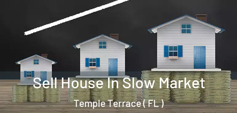  Sell House In Slow Market Temple Terrace ( FL )