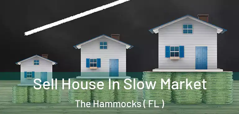  Sell House In Slow Market The Hammocks ( FL )