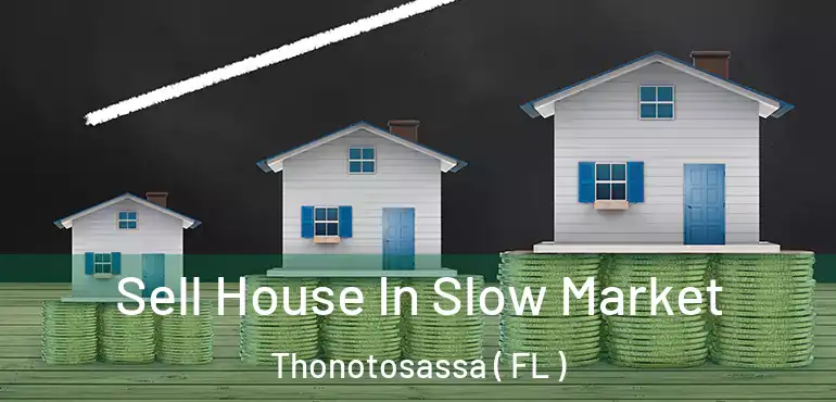  Sell House In Slow Market Thonotosassa ( FL )