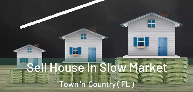  Sell House In Slow Market Town 'n' Country ( FL )