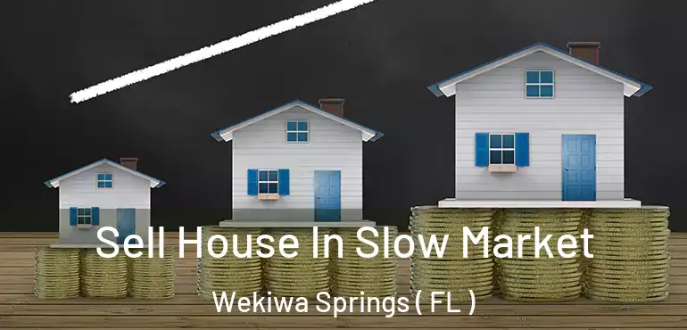  Sell House In Slow Market Wekiwa Springs ( FL )