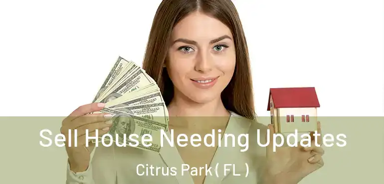 Sell House Needing Updates Citrus Park ( FL )