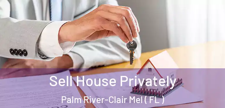  Sell House Privately Palm River-Clair Mel ( FL )