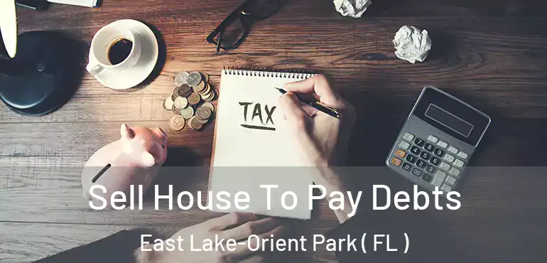  Sell House To Pay Debts East Lake-Orient Park ( FL )