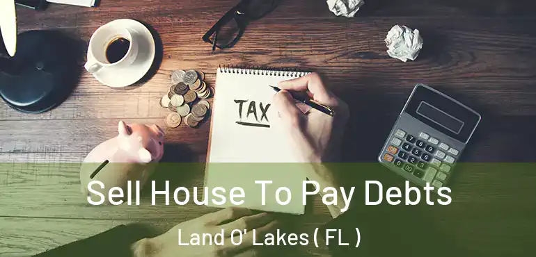  Sell House To Pay Debts Land O' Lakes ( FL )