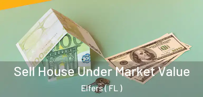  Sell House Under Market Value Elfers ( FL )
