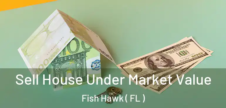  Sell House Under Market Value Fish Hawk ( FL )