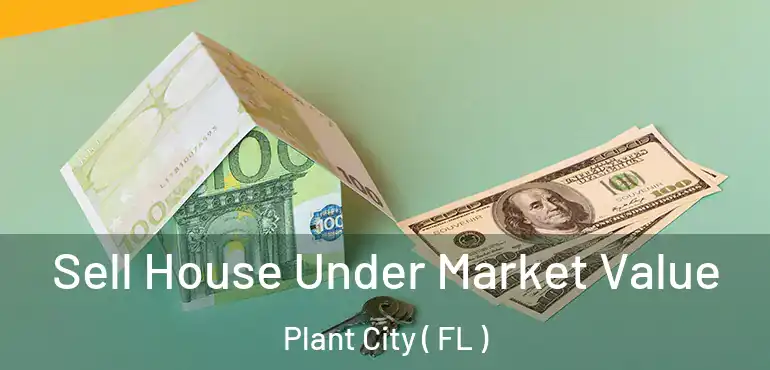  Sell House Under Market Value Plant City ( FL )