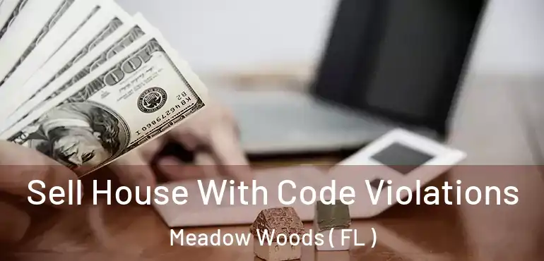  Sell House With Code Violations Meadow Woods ( FL )