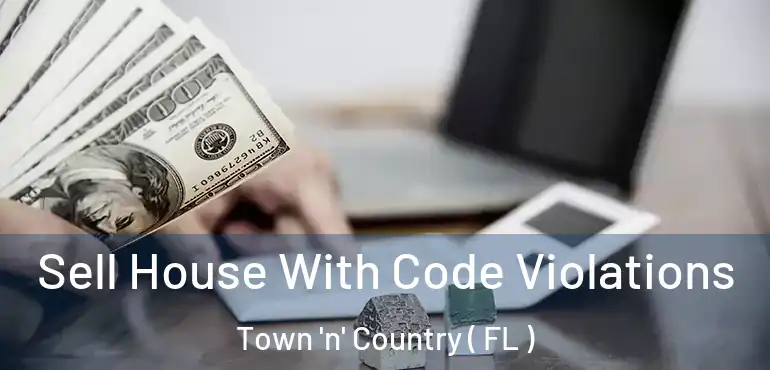  Sell House With Code Violations Town 'n' Country ( FL )