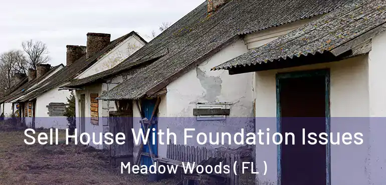  Sell House With Foundation Issues Meadow Woods ( FL )