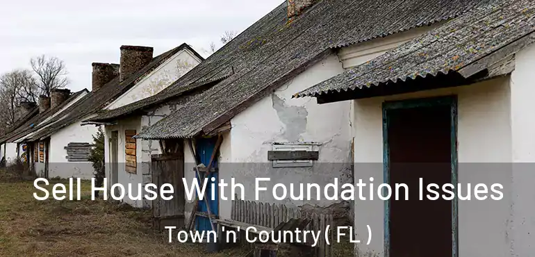  Sell House With Foundation Issues Town 'n' Country ( FL )