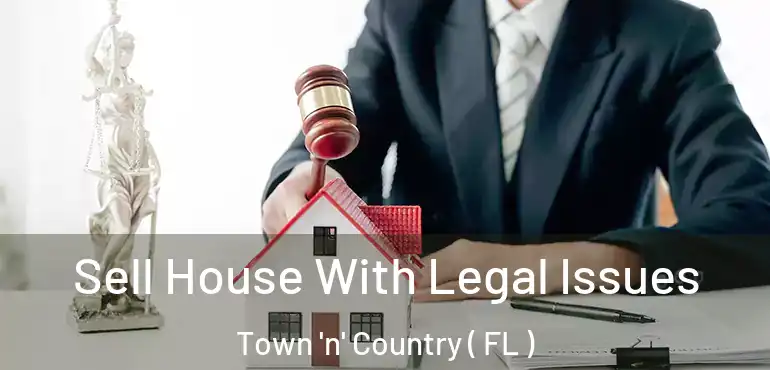  Sell House With Legal Issues Town 'n' Country ( FL )
