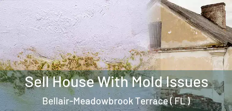  Sell House With Mold Issues Bellair-Meadowbrook Terrace ( FL )