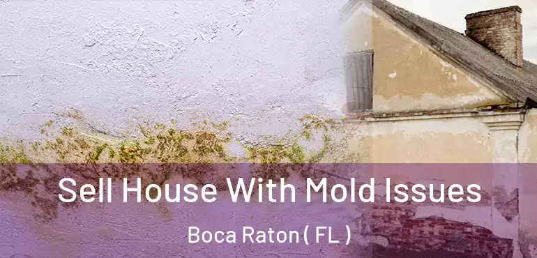  Sell House With Mold Issues Boca Raton ( FL )