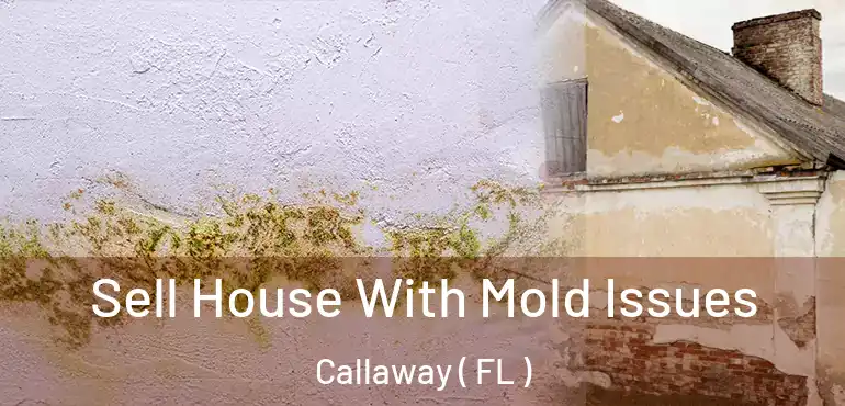  Sell House With Mold Issues Callaway ( FL )
