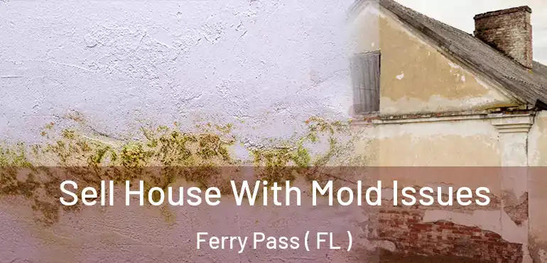  Sell House With Mold Issues Ferry Pass ( FL )
