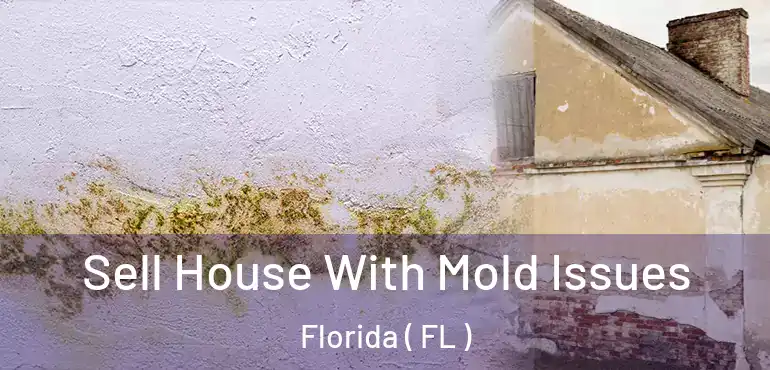  Sell House With Mold Issues Florida ( FL )