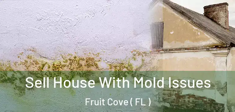  Sell House With Mold Issues Fruit Cove ( FL )