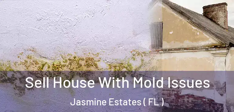  Sell House With Mold Issues Jasmine Estates ( FL )