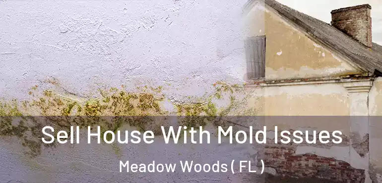 Sell House With Mold Issues Meadow Woods ( FL )