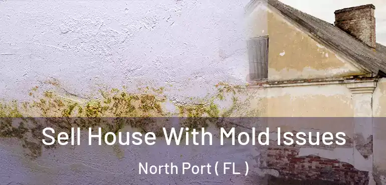  Sell House With Mold Issues North Port ( FL )