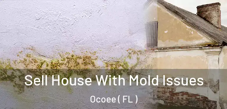  Sell House With Mold Issues Ocoee ( FL )