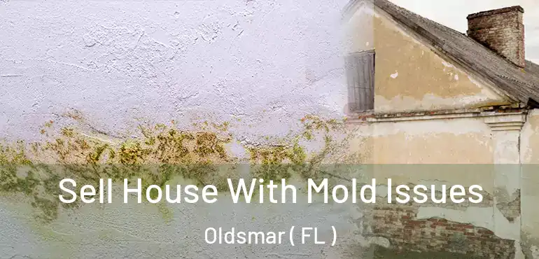  Sell House With Mold Issues Oldsmar ( FL )