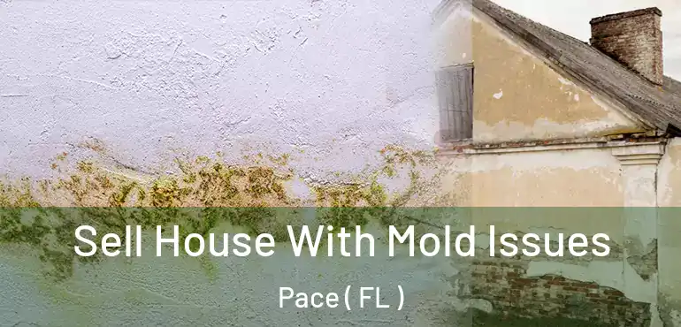 Sell House With Mold Issues Pace ( FL )
