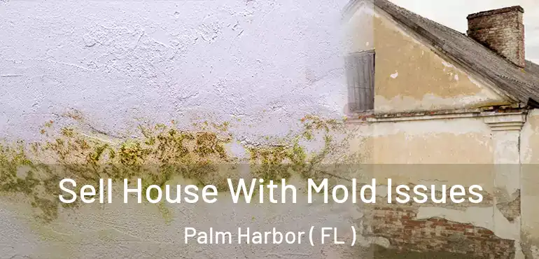  Sell House With Mold Issues Palm Harbor ( FL )