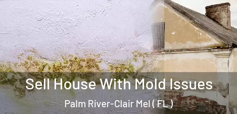  Sell House With Mold Issues Palm River-Clair Mel ( FL )