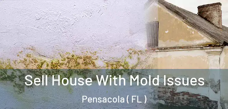  Sell House With Mold Issues Pensacola ( FL )