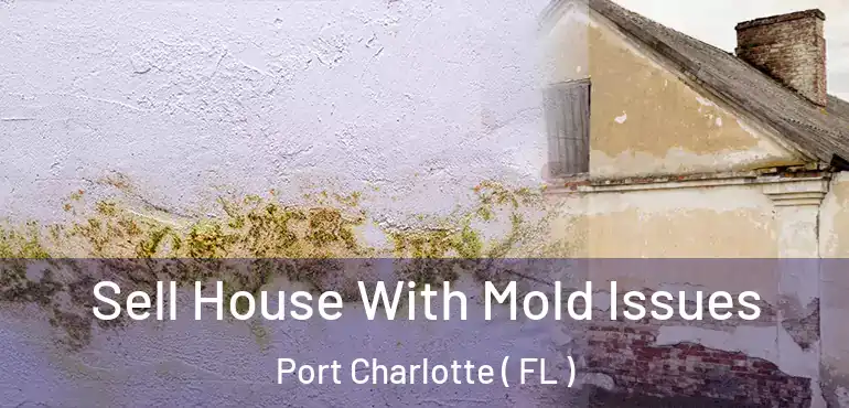  Sell House With Mold Issues Port Charlotte ( FL )