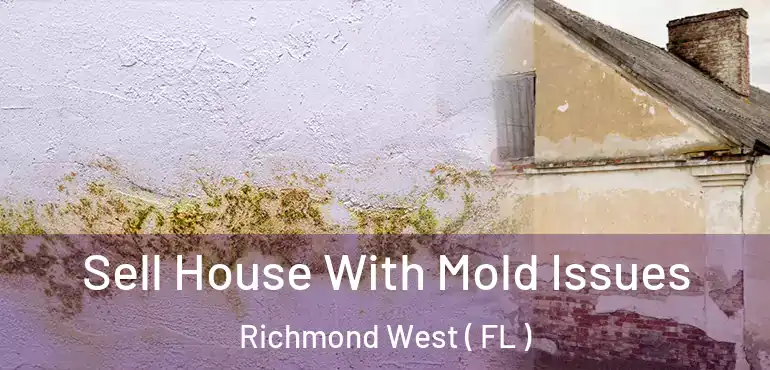  Sell House With Mold Issues Richmond West ( FL )