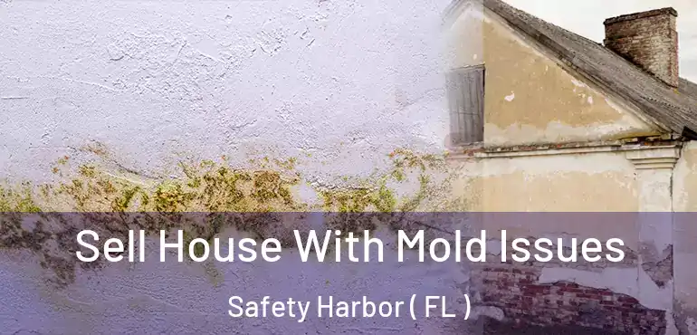  Sell House With Mold Issues Safety Harbor ( FL )