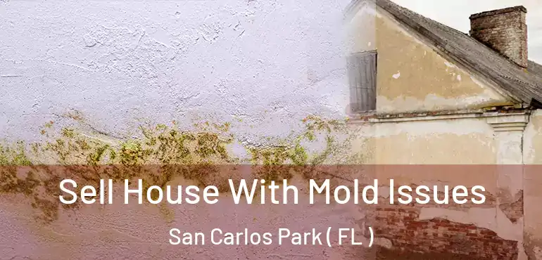  Sell House With Mold Issues San Carlos Park ( FL )