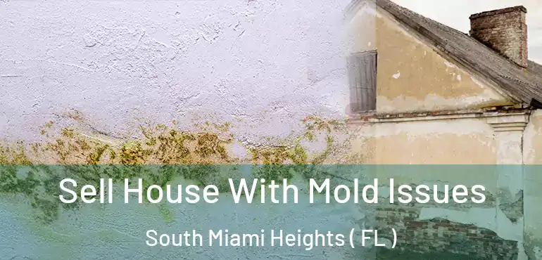 Sell House With Mold Issues South Miami Heights ( FL )
