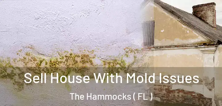  Sell House With Mold Issues The Hammocks ( FL )