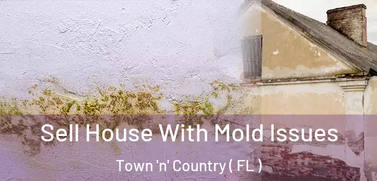  Sell House With Mold Issues Town 'n' Country ( FL )