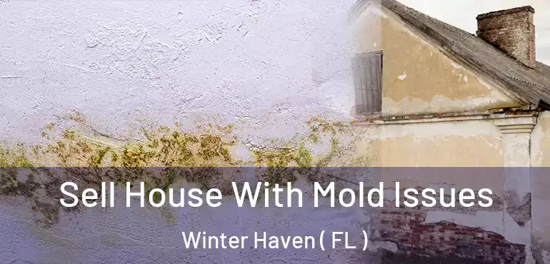  Sell House With Mold Issues Winter Haven ( FL )