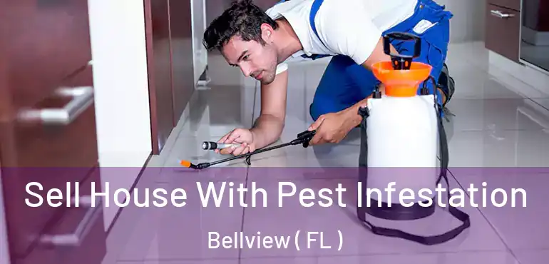  Sell House With Pest Infestation Bellview ( FL )