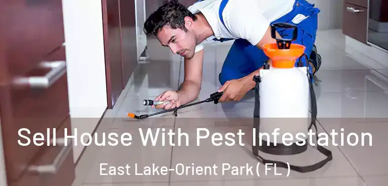  Sell House With Pest Infestation East Lake-Orient Park ( FL )