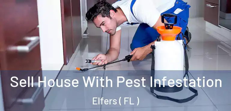  Sell House With Pest Infestation Elfers ( FL )