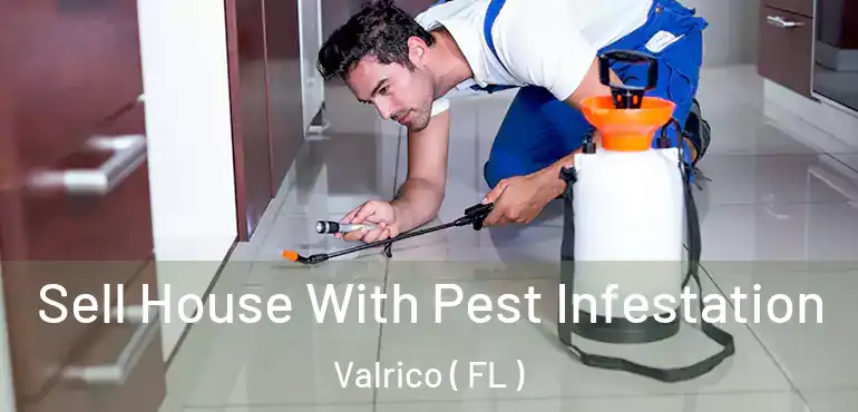 Sell House With Pest Infestation Valrico ( FL )