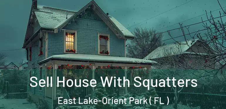  Sell House With Squatters East Lake-Orient Park ( FL )