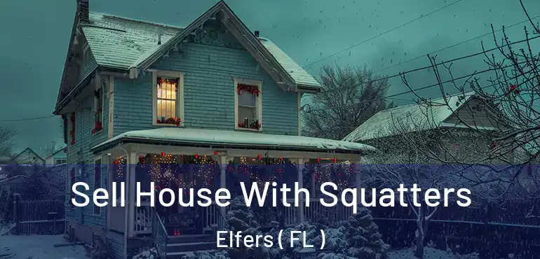  Sell House With Squatters Elfers ( FL )
